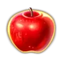 icon 12