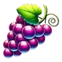 icon 4