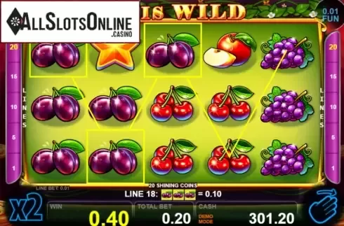 Win screen 2. 20 Shining Coins from Casino Technology
