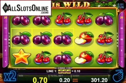 Win screen 3. 20 Shining Coins from Casino Technology
