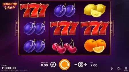 Burning Wins: classic 5 lines slot screenshot 1