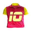 icon 10