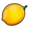 icon 7