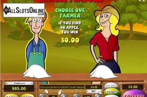 Risk (Double up) game screen. Gardener from Tom Horn Gaming
