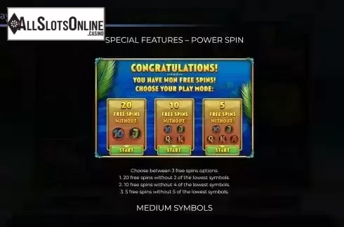 FS Selection mode screen