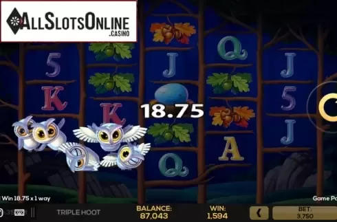 Win Screen 2. Triple Hoot from High 5 Games