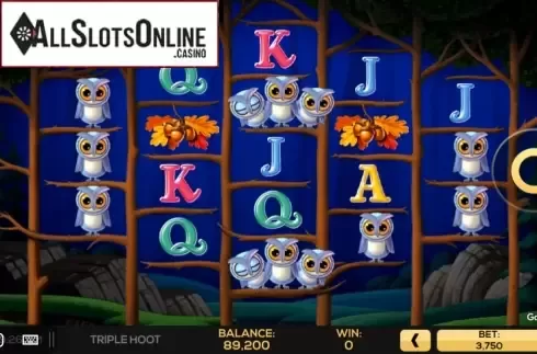 Play Screen 3. Triple Hoot from High 5 Games