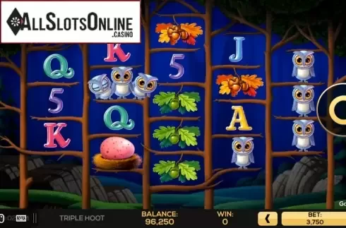 Play Screen 2. Triple Hoot from High 5 Games
