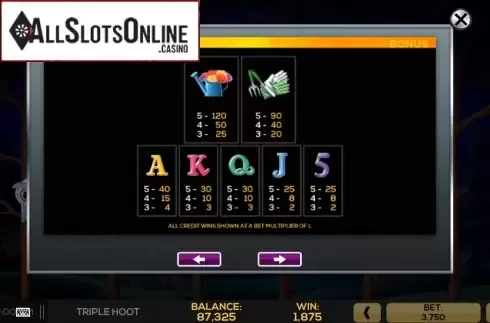 Pay Tables 2. Triple Hoot from High 5 Games