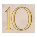 icon 10