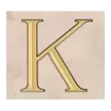 icon 7