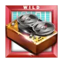 icon 10