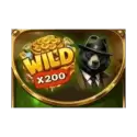 Bonus Buy BLACK BEAR