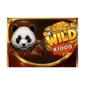 Bonus Buy PANDA BEAR