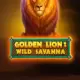 Golden Lion Wild Savanna