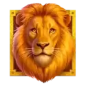 icon 12