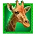 icon 3
