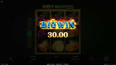 Hot Money Slot slot screenshot 4