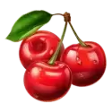 icon 9