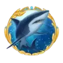 icon 5