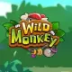 Wild Monkey
