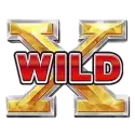 icon 9