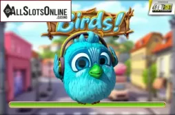 Birds!