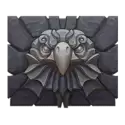 icon 5