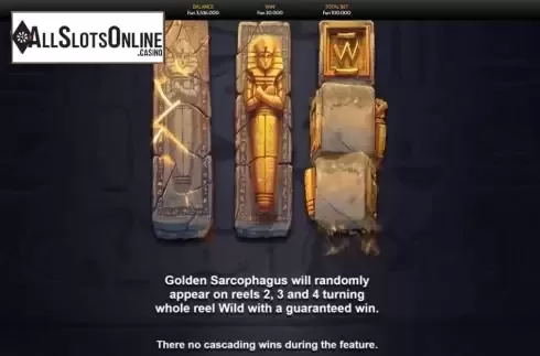 Wild Feature Screen