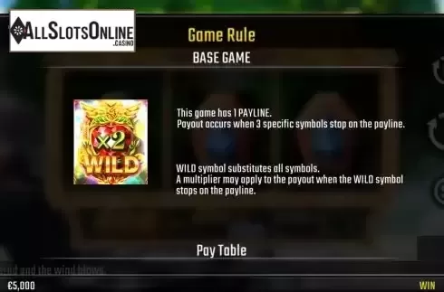 Wild symbol screen