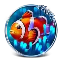 icon 3