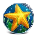 icon 5