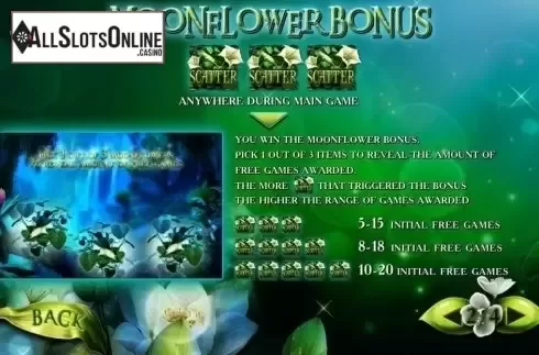 Paytable 2. Secrets of the Amazon from Playtech