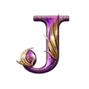 icon 9