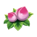icon 4