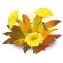 icon 3