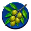 icon 3