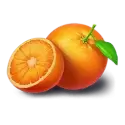 icon 7