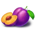 icon 6