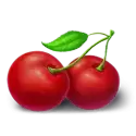 icon 9