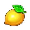 icon 6