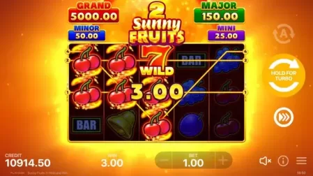 Sunny Fruits 2: Hold and Win slot screenshot 3