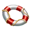 icon 5