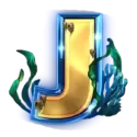 icon 9