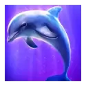 icon 2