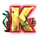 icon 7