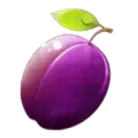 icon 6