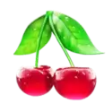 icon 9