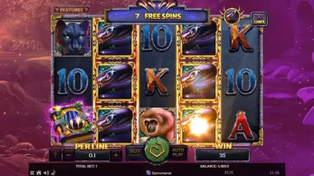 Book of Panther slot screenshot 6