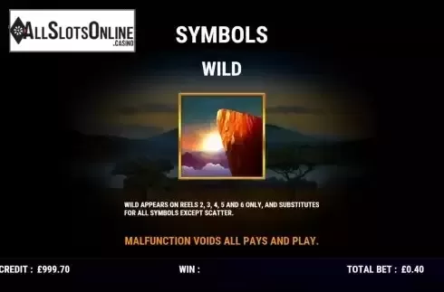 Wild screen